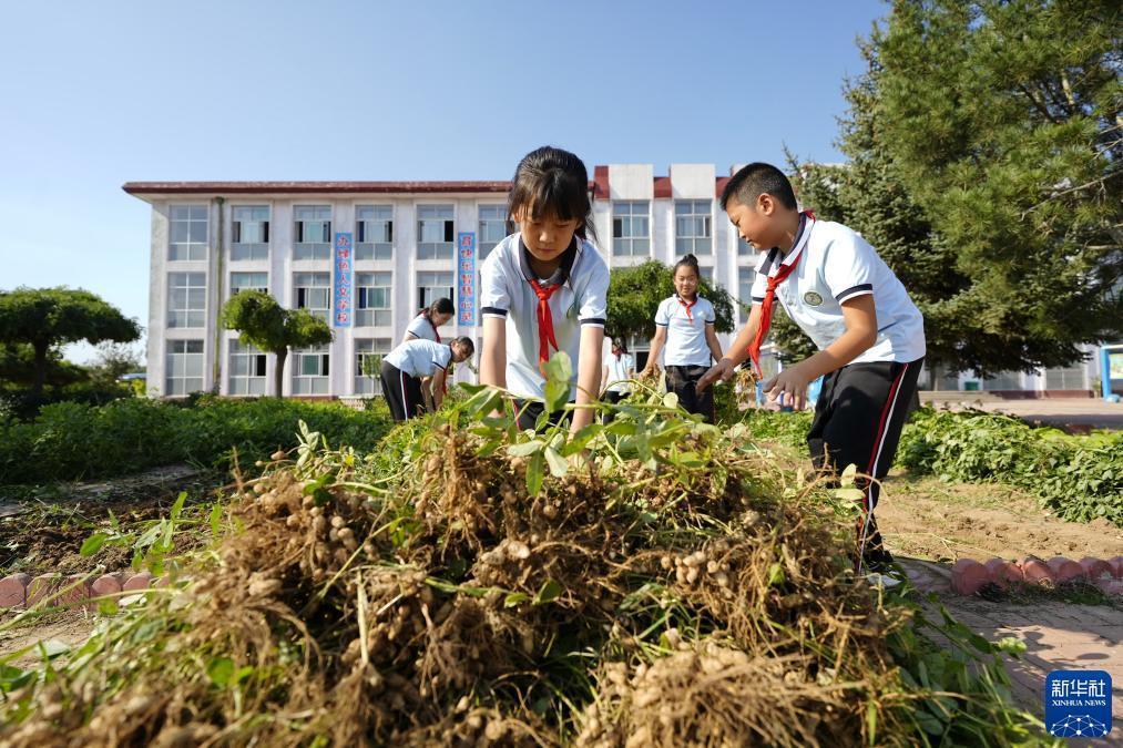 金沙免费送68彩金